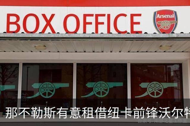 那不勒斯有意租借纽卡前锋沃尔特马德，桑德兰想租借格拉利什